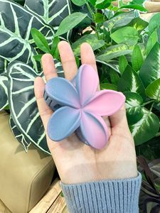 도매 매트 그라디언트 계란 꽃 머리 발톱 달콤한 색상-블록 상어 클립 뒷머리 머리 롤빵 유행 클립 - Product Image 6