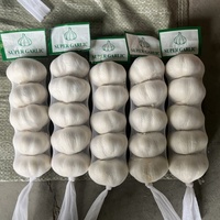 Ail Blanc Frais en Petits Emballages 200g 500g Sac en Filet Chine Ail Blanc Standard 5.0-5.5cm pour Supermarché
