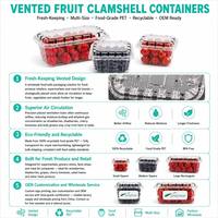 Hoge transparantie PET plastic fruitverpakking doosje, wegwerpbaar, draagbaar, voor bessen, met openingen voor transport.