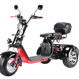 <span class=keywords><strong>Batterie</strong></span> <span class=keywords><strong>amovible</strong></span> bonne qualité conduite sécuritaire 1500w 60v12ah <span class=keywords><strong>3</strong></span> roue électrique tricycle <span class=keywords><strong>scooter</strong></span> pour personnes âgées modèle CP-<span class=keywords><strong>3</strong></span>.0 - Product Image 2