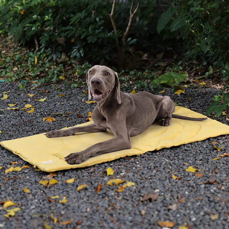 מחצלת שטיחים ניידים עמיד למים באוויר מחמד שמיכה עם מיטת חתול כלב כלב