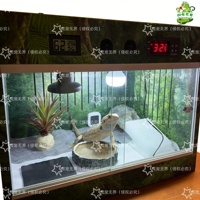 Terrario Inteligente para Reptiles con Doble Termostato, Jaula para Pájaros, Puerta Corredera de Vidrio, Portalámparas de Cerámica, Hábitat de Cría