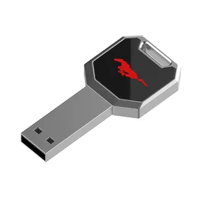 Metal Key Shape LED lighting up Logo Metal USB Memory Stick High Speed in 32G 64G 128G 256G