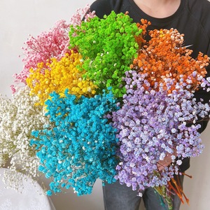 Baby Breath Dried <strong>Flowers</strong> Pampas Grass 120g/bunch Wholesale Decorative Eternal Bouquet For Graduation Christmas Easter - Product Image 1