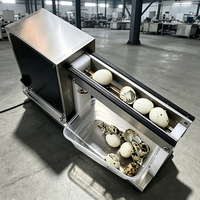 Machine à peler les œufs de caille électrique automatique pour usage domestique, mini décortiqueuse d'œufs de caille, petite décortiqueuse d'œufs d'oiseaux, en promotion