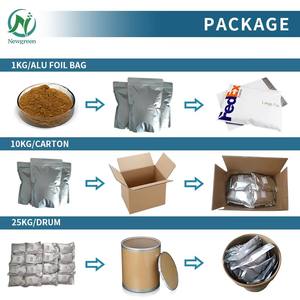 Bubuk Ekstrak <span class=keywords><strong>Bilberry</strong></span> Murni Organik Alami Cina Grosir Newgreen - Product Image 4