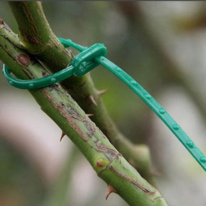 Ensemble <span class=keywords><strong>de</strong></span> 31 pinces <span class=keywords><strong>de</strong></span> fixation pour plantes : pinces <span class=keywords><strong>de</strong></span> soutien en plastique pour plantes grimpantes, outils <span class=keywords><strong>de</strong></span> fixation spécialisés pour tomates, <span class=keywords><strong>vigne</strong></span> - Product Image 4