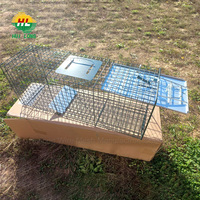 Piège à animaux vivants pliable, cage pliable en fil d'acier