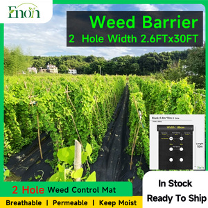 Film de <span class=keywords><strong>paillage</strong></span> anti-mauvaises herbes en PP, largeur 0,6-2 m, avec trous, pour jardin, tapis de contrôle des adventices, barrière anti-mauvaises herbes en tissu non tissé, collection Printemps 2026 - Product Image 1