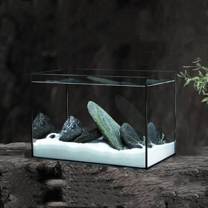 Acquario da Tavolo in Vetro HD Silenzioso per Soggiorno, Novità 2024, Piccolo Acquario per Pesci Rossi con Curvatura a Caldo - Product Image 2