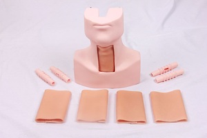 Maniquí de Entrenamiento en Ciencias Médicas, Modelo Avanzado de Entrenamiento en Cirugía de Traqueotomía, Simulador de Tirocricocentesis - Product Image 2
