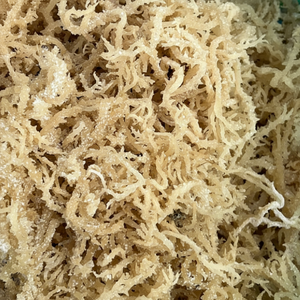 Musgo de mar de alta calidad \ algodón Eucheuma seco para suplementos orgánicos y aditivos alimentarios - Product Image 1