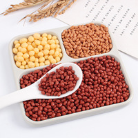 Modèles de grains simulés, noix simulées, maïs, haricots rouges, cacahuètes, riz, raisins secs, graines de lotus, accessoires décoratifs