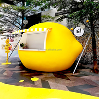 Op Maat Gemaakte Limonade Stand Camper Van Mobiele Food Trailer Volledig Uitgeruste Koffie Catering Karren 220V Food Truck Voor Restaurants