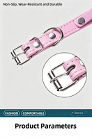 Collier pour animaux de compagnie en cuir PU personnalisé, lettres de nom en strass personnalisées, réglable, accessoire brillant pour chat et chien