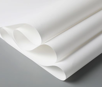 Rollo de Lienzo de Poliéster Imprimible de 252 g/m², Mate, Impermeable, para Impresora de Inyección de Tinta con Pigmentos, Compatible con EPSON, CANON, HP