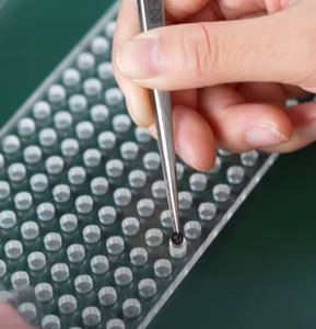 Inserto Fotografico Personalizzato <span class=keywords><strong>per</strong></span> Proiezione, Gioielli con Immagine Personalizzata, Accessori <span class=keywords><strong>per</strong></span> Proiezione su Collane e Bracciali - Product Image 5