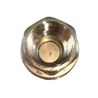 Clapet anti-retour à levage manuel en acier inoxydable DN15 de 1/2 pouces CF8 CF8M BSPP BSPT NPT vis Pn16 pour usage général