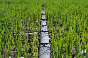 <span class=keywords><strong>Manguera</strong></span> Plana <span class=keywords><strong>de</strong></span> PVC Negra <span class=keywords><strong>de</strong></span> <span class=keywords><strong>2</strong></span>, 4, 6 y 8 <span class=keywords><strong>Pulgadas</strong></span> al por Mayor, <span class=keywords><strong>Manguera</strong></span> <span class=keywords><strong>de</strong></span> Descarga <span class=keywords><strong>de</strong></span> Agua <span class=keywords><strong>de</strong></span> Riego Flexible y Duradera para Agricultura, <span class=keywords><strong>Manguera</strong></span> <span class=keywords><strong>de</strong></span> <span class=keywords><strong>Lona</strong></span> - Product Image 6