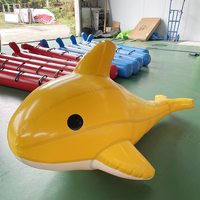 Coussin gonflable pour bébé en forme de canard, cygne, phoque, flamant rose, planche flottante d'intérieur en PVC, équipement de divertissement pour parc aquatique