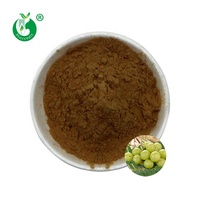 Extrait de Phyllanthus Emblica de haute qualité, extrait pur et naturel de fruit d'Amla, tanin