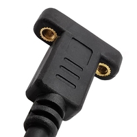 USB-C Montage Sur Panneau Type-C USB-C Mâle À Femelle Câble D'extension Avec Vis Trou de Verrouillage Connecteur de Chargement de données Câble Espacement 18mm