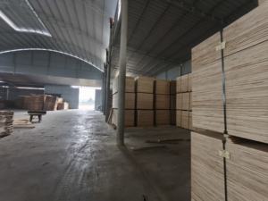 Contrachapado de buena calidad con núcleo de madera dura y chapa de abedul para construcción y muebles, superficie lisa sin delaminación, de fábrica en Vietnam. - Product Image 6