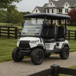 Carro de golf para caminos no públicos - Product Image 1