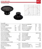 Haut-parleur de milieu de gamme 8 pouces HYW-865-003 300W AES, aimant néodyme, 8 ohms, 99 dB, haute sensibilité, avec suspensions en fibre de carbone