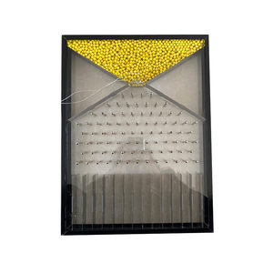 Tablero de <span class=keywords><strong>Galton</strong></span> Transparente de Gran Tamaño, Modelo Experimental para Demostración de Fenómeno Aleatorio Estadístico - Product Image 3