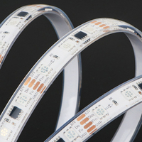 Bande de pixels LED en cuivre 10 mm 12 V RGB, lumière colorée Epistar FW1934 SMD5050 60 LED/m IP67, lumières télécommandées pour la décoration