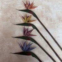 KW-F098 Oiseau de paradis artificiel d'automne de haute qualité, en latex, toucher réel, fausse Strelitzia pour la décoration intérieure