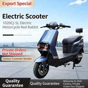 Motocicleta Deportiva Urbana 2026, Batería de Litio de 60V 20AH, Motocicleta Eléctrica de Alta Potencia para Adultos - Product Image 2