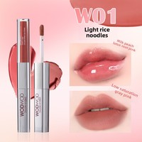 Gloss à lèvres double embout personnalisé OEM, longue tenue, waterproof, rouge à lèvres liquide velours mat et brillant effet miroir, maquillage pour les lèvres, marque privée