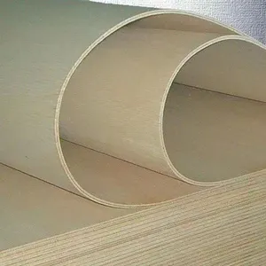 Paulownia Bent Board Sheet Plywood Flexible 1220*2440 3MM 5MM 9MM Plywood Price