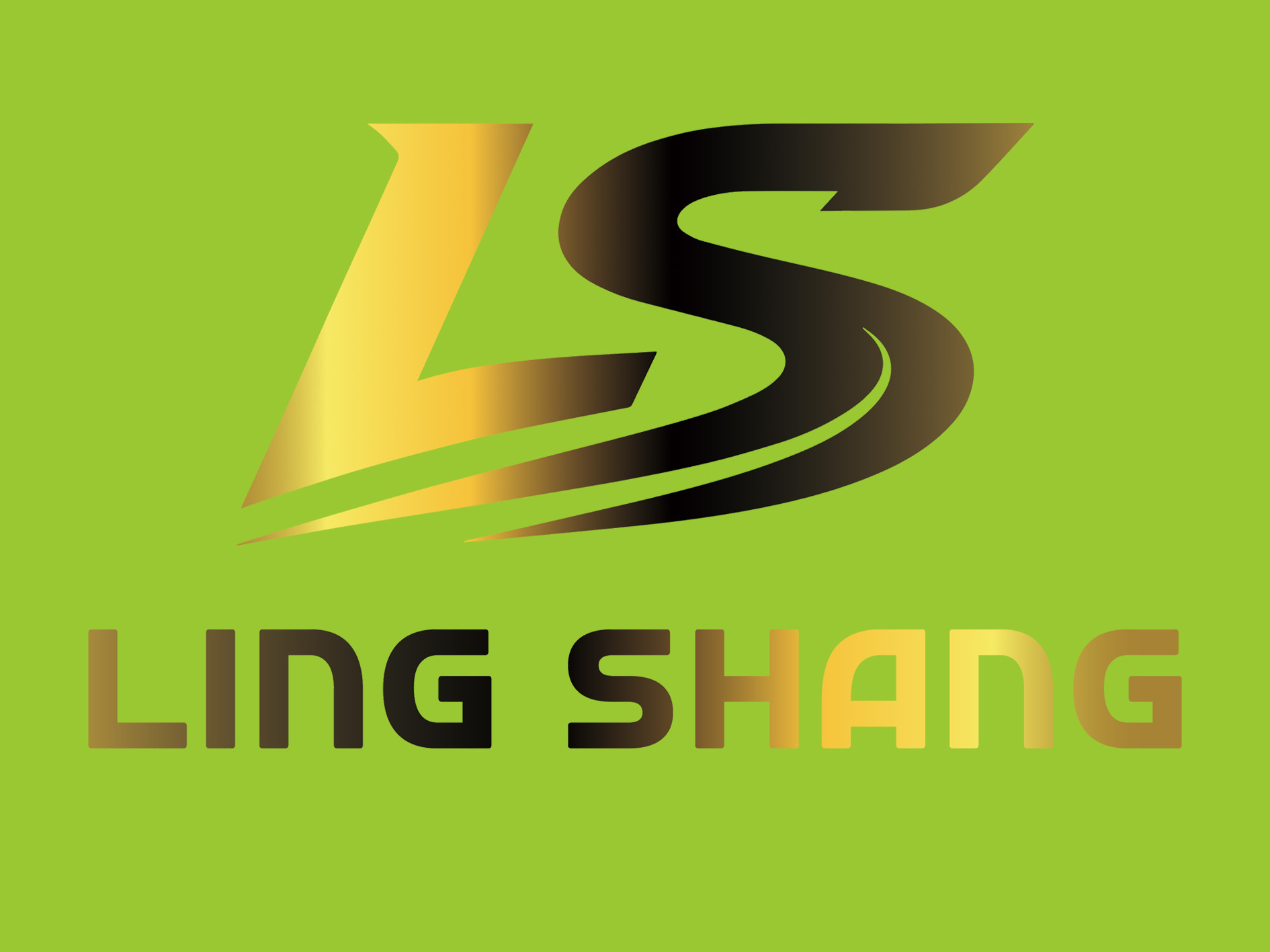 Luan Lingshang Sporting Goods Co., Ltd. logo