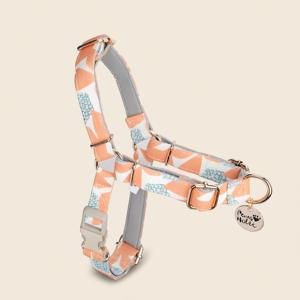 Arnés de Algodón para Perro, Talla S, Exclusivo, Transpirable, con Estampado Moderno, Sin Tirones, Personalizado, Fácil de Usar, Ecológico - Product Image 1