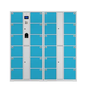 Factory Manufacture Smart/Intelligent Postal/Delivery/Parcel Locker Smart Qr Locker Gym Locker Smart Lock
