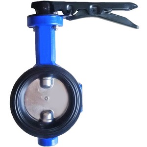 Disco de Acero Inoxidable SS316 Tipo DN 50 con Moldeado EPDM, Accionamiento Manual, para Agua a Alta Temperatura, Estándar DIN 17445 - Product Image 3