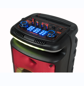 CH-8820 8 אינץ 'כפול מערכת pa אלחוטי כפולה נטענת טרולי עם אור להבה עבור dj הביתה להשתמש בפונקציה מרחוק - Product Image 4