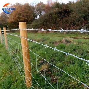 <span class=keywords><strong>Alambre</strong></span> <span class=keywords><strong>de</strong></span> Púas <span class=keywords><strong>de</strong></span> Alta Resistencia para Cercas <span class=keywords><strong>de</strong></span> Seguridad, 1.6/2.0/2.5mm, <span class=keywords><strong>Alambre</strong></span> <span class=keywords><strong>de</strong></span> Púas Galvanizado <span class=keywords><strong>de</strong></span> Doble Torsión, <span class=keywords><strong>Rollo</strong></span> <span class=keywords><strong>de</strong></span> <span class=keywords><strong>Alambre</strong></span> <span class=keywords><strong>de</strong></span> Púas en Venta - Product Image 2