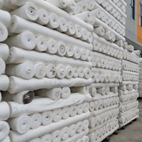 Tissu de doublure en taffetas tissé croisé 75D 190T 100% polyester à séchage rapide et respirant pour sacs et vêtements pour garçons - Vente en gros usine