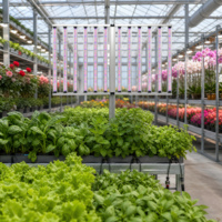 Kruiden, bladgroenten, fruit, bloemen, IP65 gecertificeerde 1300W opvouwbare driekanaals full spectrum kweeklamp voor commerciële kwekers