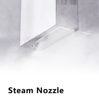 Ensemble de colonnes cascade tour panneaux de douche panneau de vapeur générateur de bain de vapeur conception salle de bain mural en acier inoxydable nouveau Ipx5
