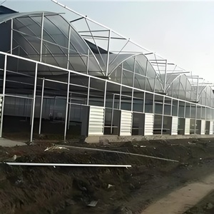 Hot Selling Single Layer Landwirtschaft liches Gewächshaus Multi-Span PE Kunststoff Tertile Gewächshaus für Tomaten Obst/Gemüse Pflanzen - Product Image 5