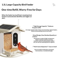 Mangeoire à oiseaux intelligente avec caméra Ultra-HD 2K4K, reconnaissance d'oiseaux par IA, alimentation solaire, distribution automatique pour oiseaux et perroquets, Chine