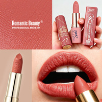 Rouge à lèvres mat velours, waterproof, non collant, longue tenue, pigmenté, maquillage pour les lèvres, cosmétiques en gros