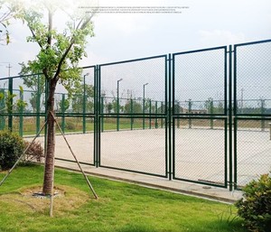 Césped Artificial para Jardín, Resistente al Agua y a los Rayos UV, Material Elástico de PP+Acero+PU, Calibre 3/16'', Tamaño 4x25m, Color Personalizado, Duración de 5-8 Años - Product Image 6