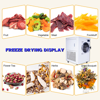 Machine de lyophilisation alimentaire commerciale pour fruits, viande, café, certifiée CE et à économie d'énergie, lyophilisateur de qualité alimentaire