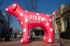 عرض ساخن أفضل سعر مع طباعة فينيل مجانية 10 قدم طراز PVC/Oxford <span class=keywords><strong>Golden</strong></span> <span class=keywords><strong>Retriever</strong></span> قابل للنفخ مع منفاخ - Product Image 6